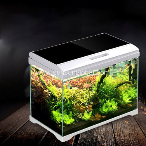 Best Selling Fashion Design Aquarium Floating Plastic Fish